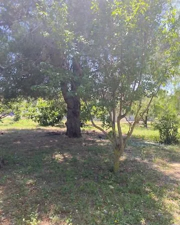 Apartment Les Oliviers Montagnac (Herault)