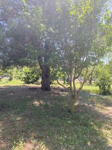 Apartman Les Oliviers Montagnac